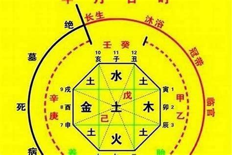 八字 喜忌|八字喜用神在线查询器,在线查五行喜神忌神